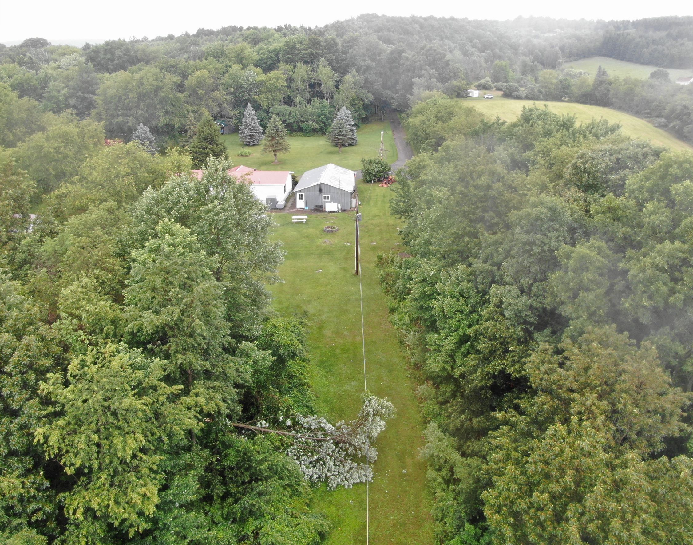 Tree from outside of ROW on power line