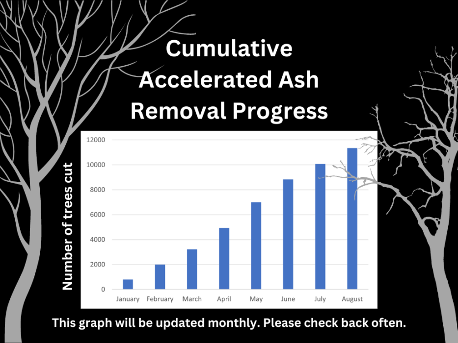 Cumulative progress to end of August